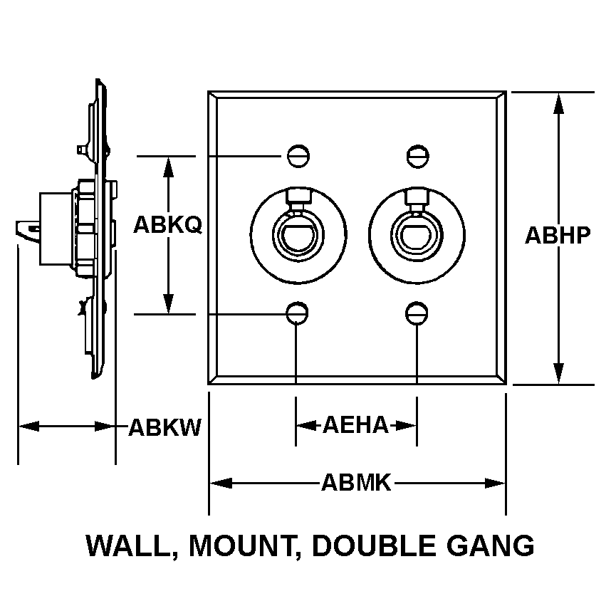 WALL, MOUNT, DOUBLE GANG style nsn 5935-01-631-2468