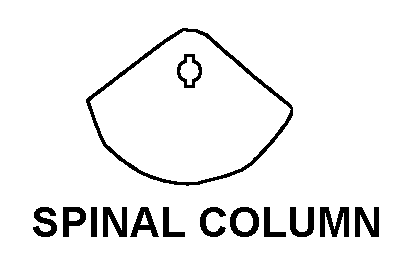 SPINAL COLUMN style nsn 6515-01-598-4645