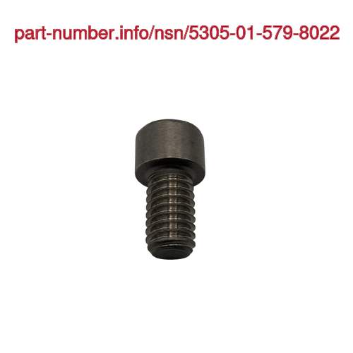 NSN 5305-01-579-8022