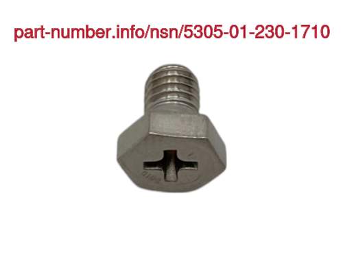 NSN 5305-01-230-1710