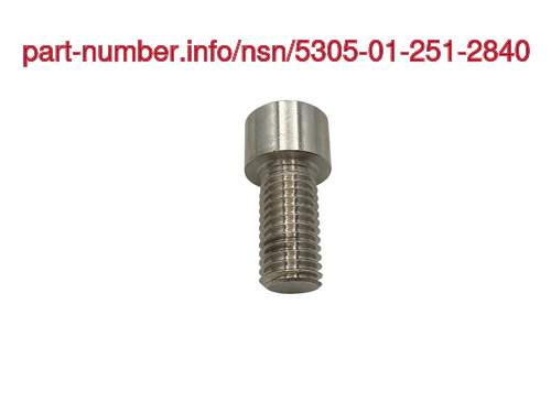 NSN 5305-01-251-2840