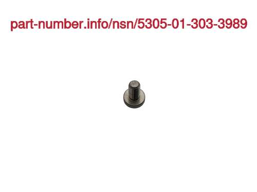 NSN 5305-01-303-3989